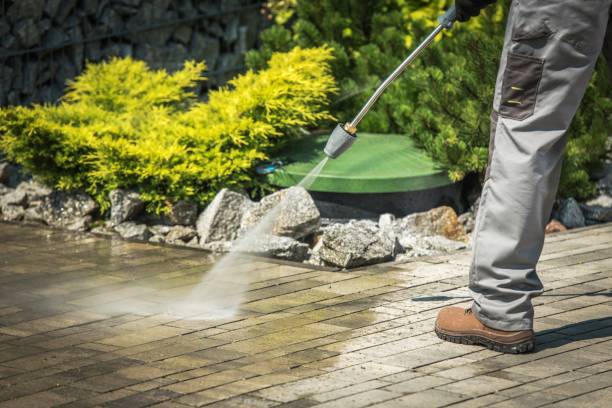 Best Soft Washing  in Westmont, IL